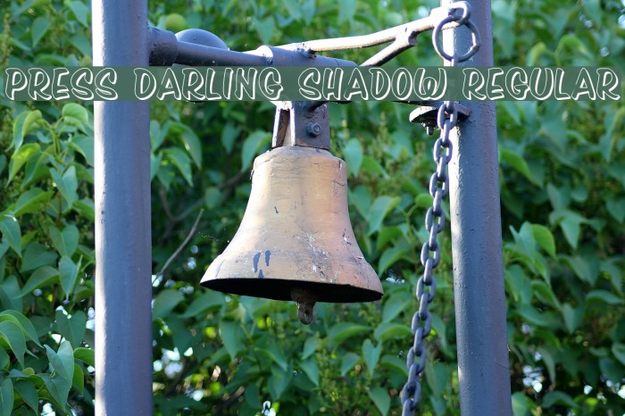 Press Darling Shadow Regular Example 2