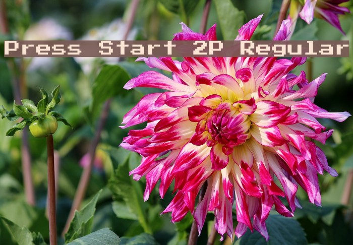 Press Start 2P Regular Font examples