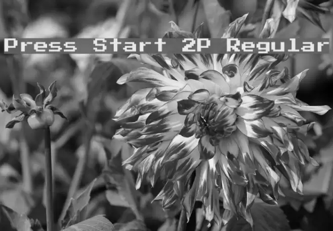 Press Start 2P Regular Font examples