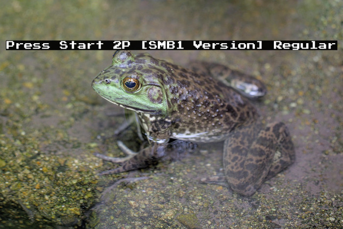 Press Start 2P [SMB1 Version] Regular Example 2