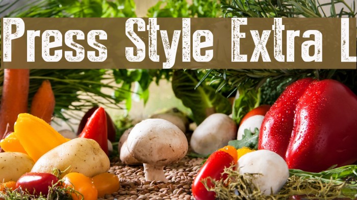 Press Style Extra L Font examples