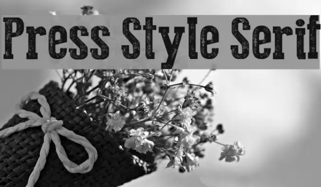 Press Style Serif Font examples