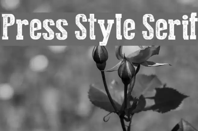 Press Style Serif Font examples