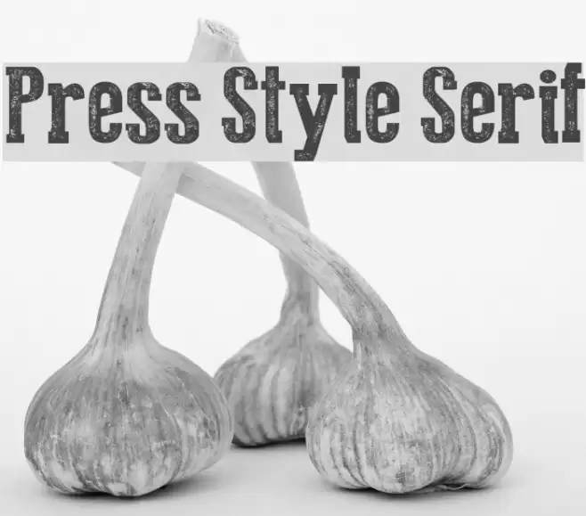 Press Style Serif Font examples