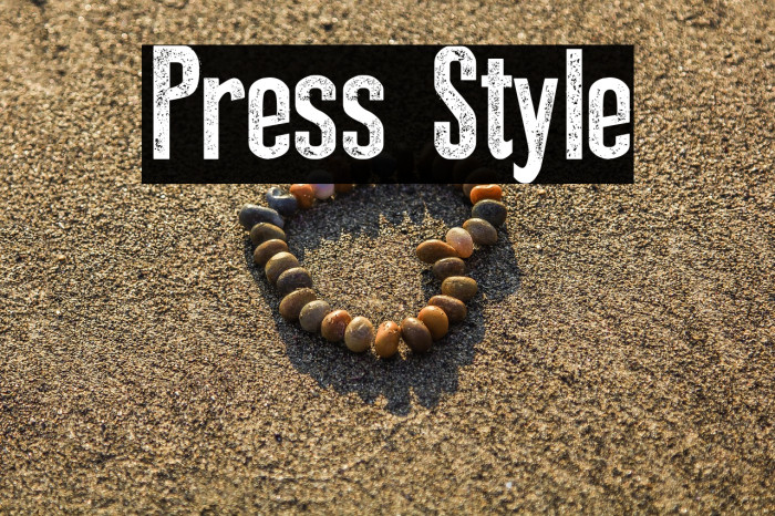 Press Style Example 2