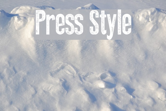 Style press