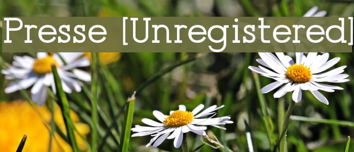 Presse [Unregistered] Example 1