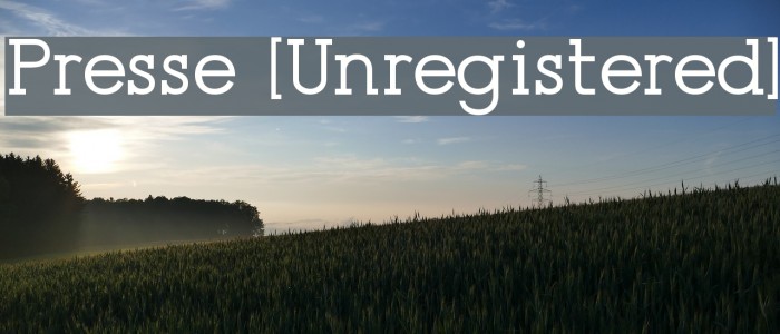 Presse [Unregistered] Example 3