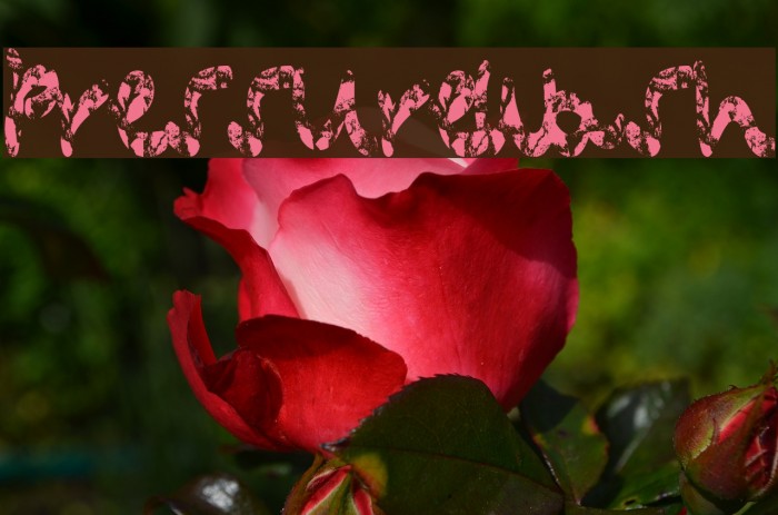 PressureWash Font examples