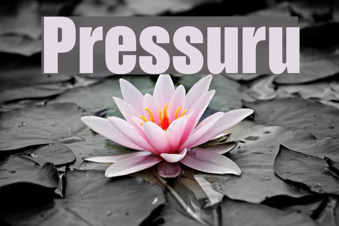 Pressuru Font examples
