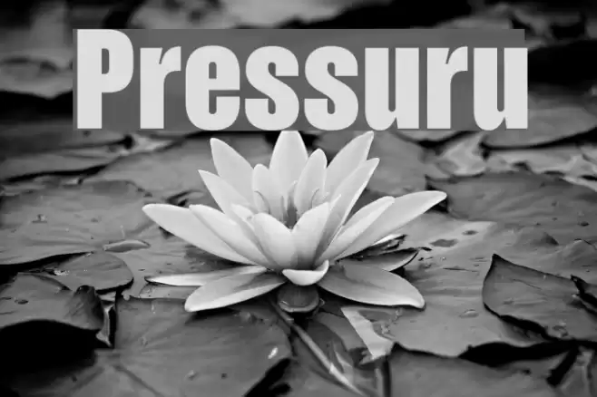 Pressuru Font examples