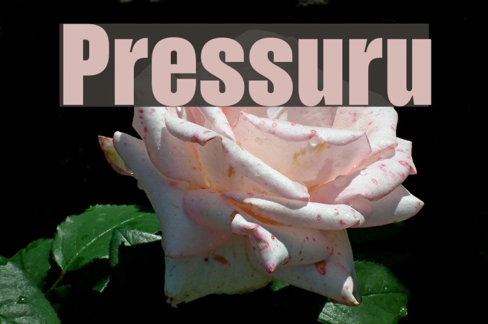 Pressuru Font examples