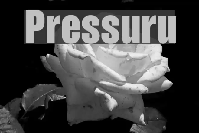 Pressuru Font examples