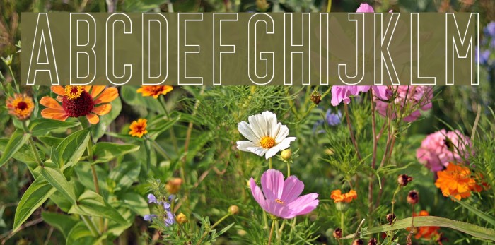 Prestage Outline Font examples