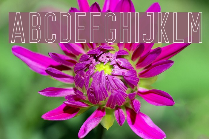 Prestage Outline Font examples