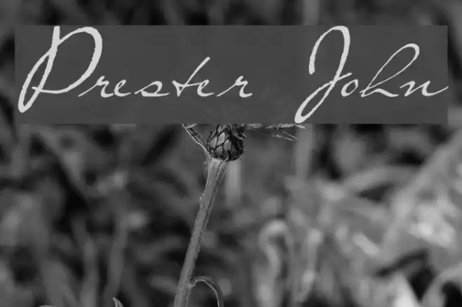 Prester John Font examples