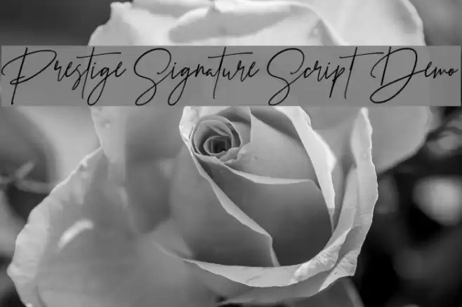 Prestige Signature Script - Demo Font examples