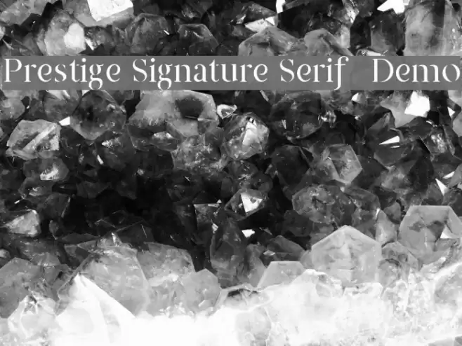 Prestige Signature Serif - Demo Font examples