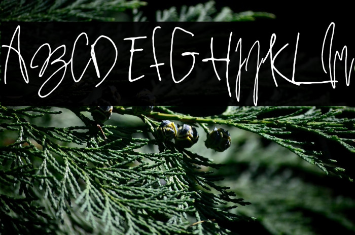 PrestigeScriptAlt Example 2