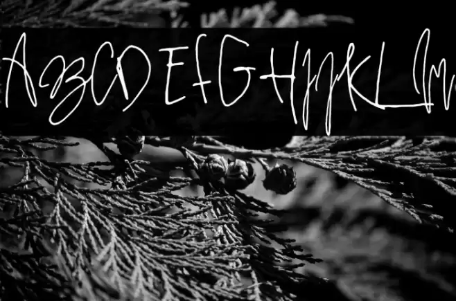 PrestigeScriptAlt Font examples