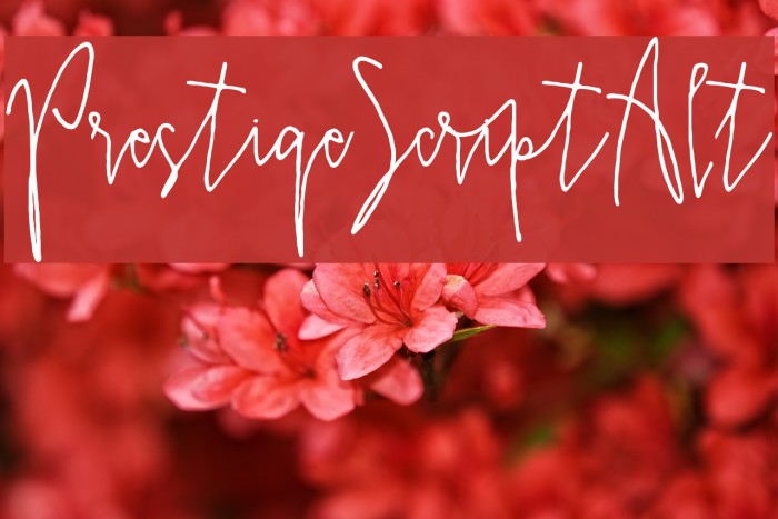 PrestigeScriptAlt Font examples