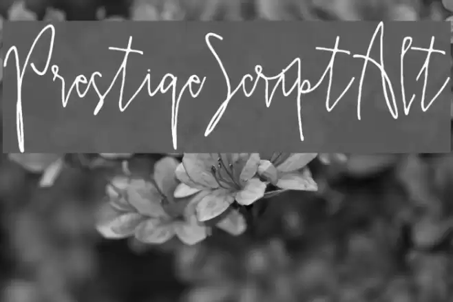 PrestigeScriptAlt Font examples