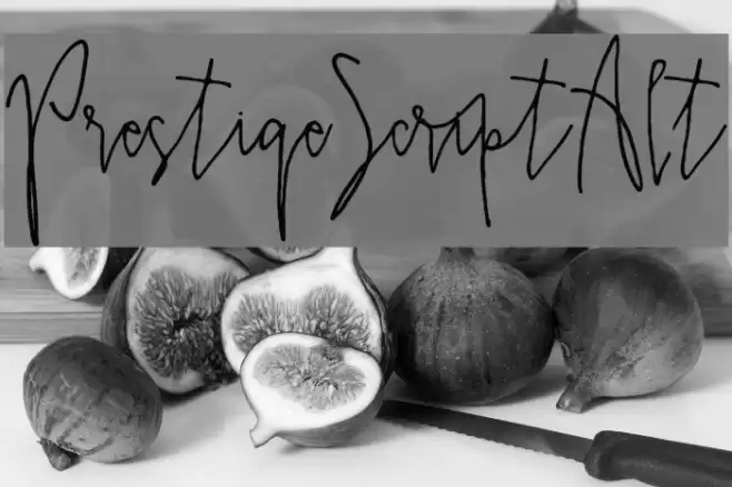 PrestigeScriptAlt Font examples