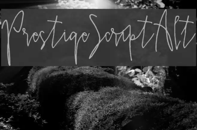PrestigeScriptAlt Font examples