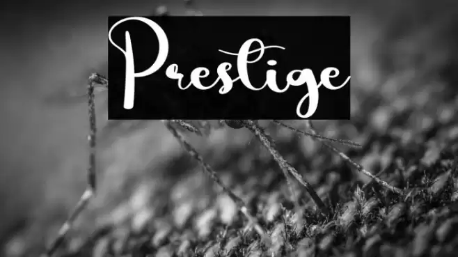 Prestige Font examples