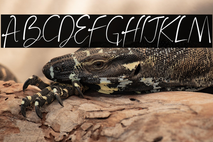 Prestigious Olives Example 2