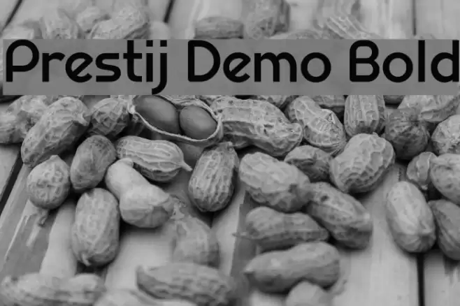 Prestij Demo Bold フォント examples