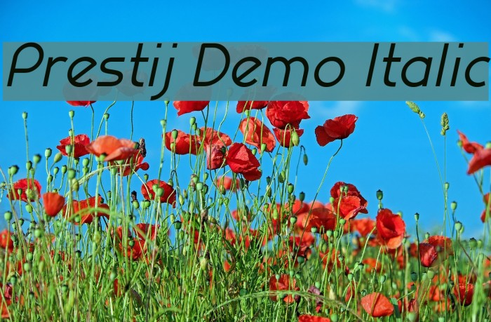 Prestij Demo Italic Font examples