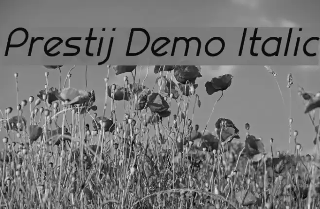 Prestij Demo Italic Font examples