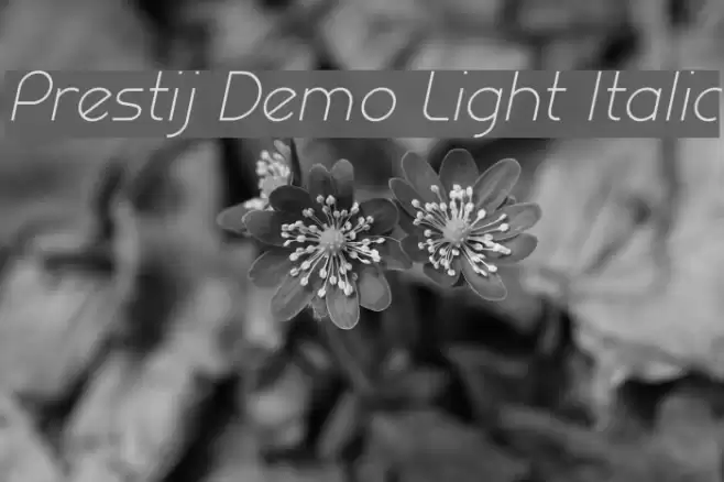 Prestij Demo Light Italic Font examples