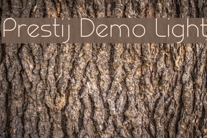 Prestij Demo Light Example 3