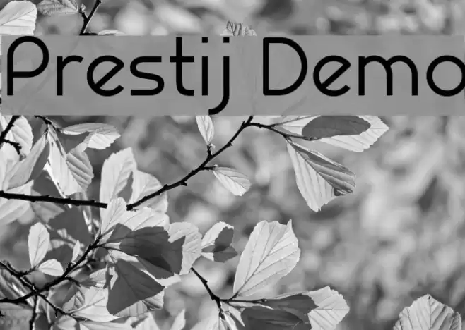Prestij Demo Schriftart examples