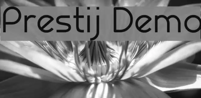 Prestij Demo Schriftart examples