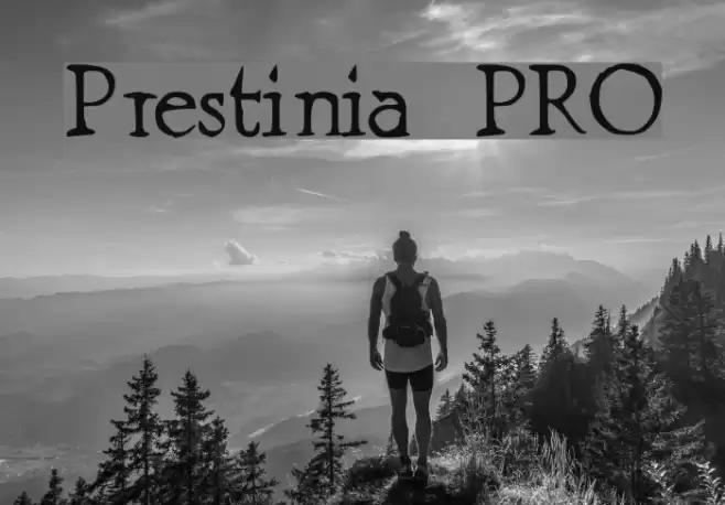 Prestinia PRO Font examples