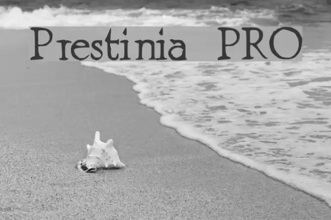 Prestinia PRO Font examples