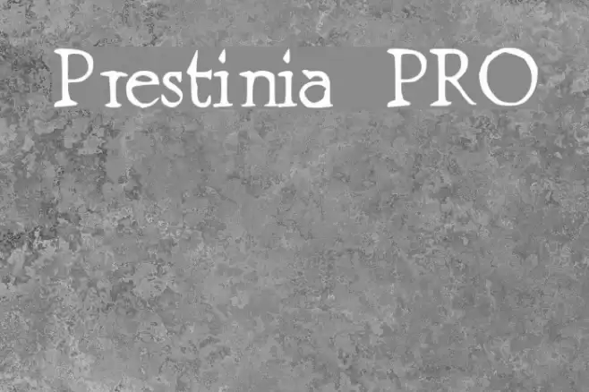 Prestinia PRO Font examples