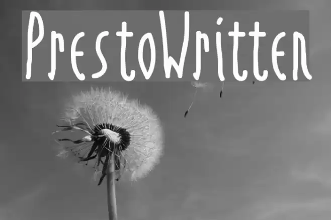 PrestoWritten Font examples