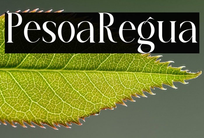 Prestoria Regular Example 2