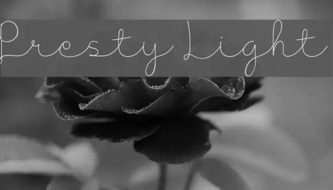 Presty Light Font examples