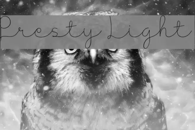 Presty Light Font examples