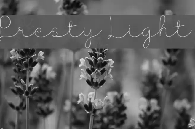 Presty Light Font examples