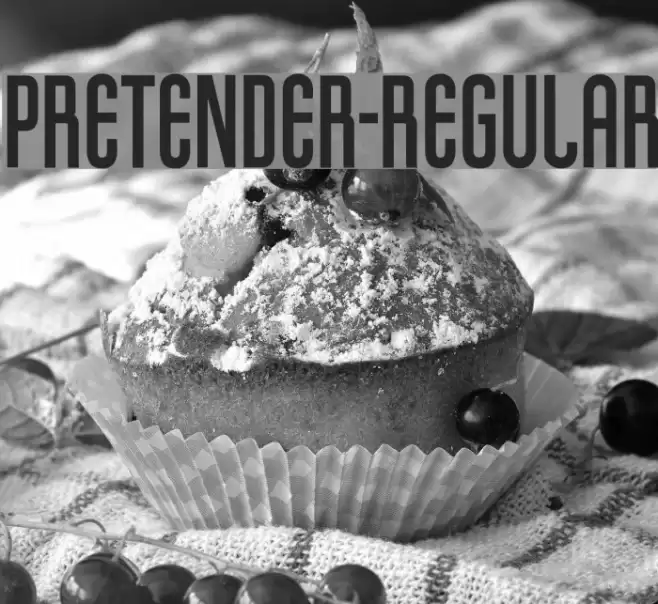 Pretender-Regular Font examples