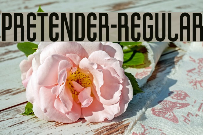 Pretender-Regular Example 3