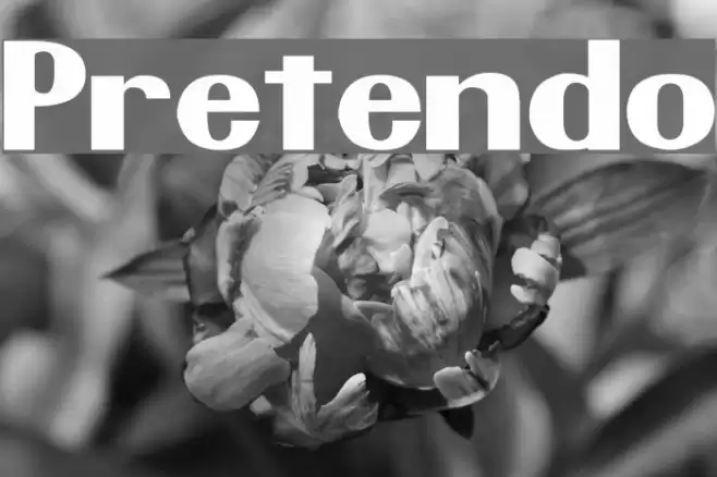Pretendo Font examples
