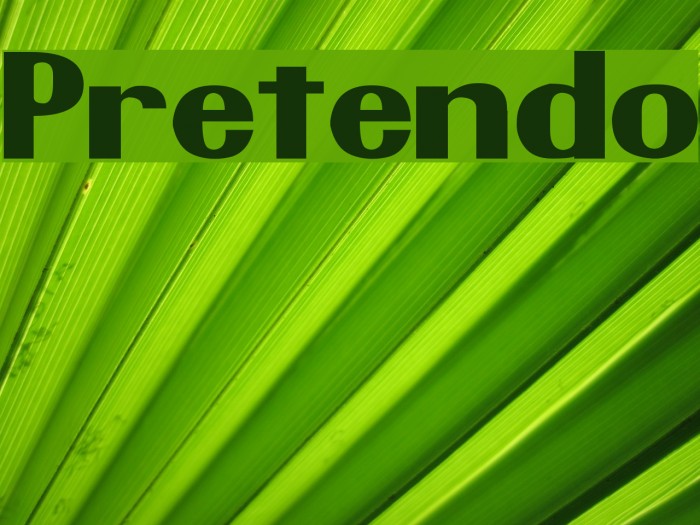 Pretendo Font examples