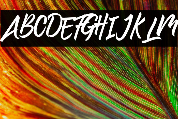 Preteoria Regular Example 1